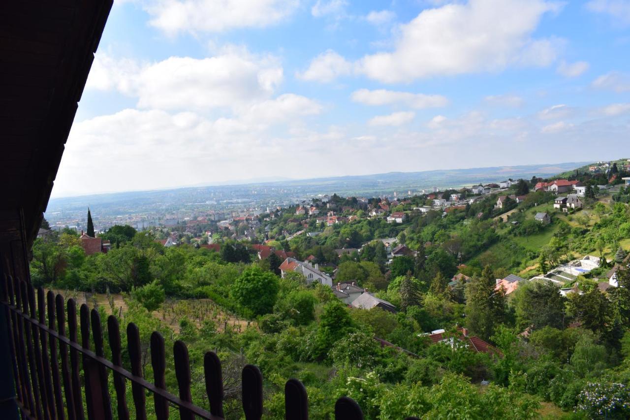 Panorama Kucko Lägenhet Pécs Exteriör bild